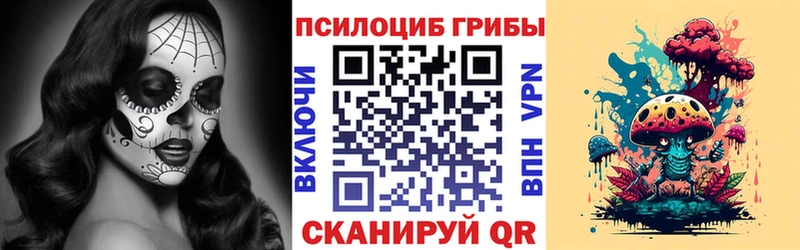 закладки  Новоуральск  Псилоцибиновые грибы MAGIC MUSHROOMS 